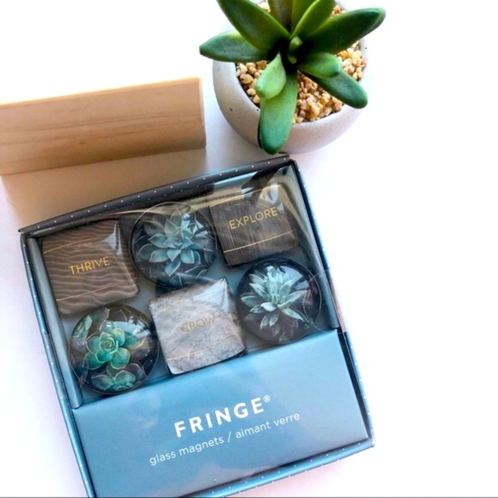 Botanical Blue Glass Magnet Set